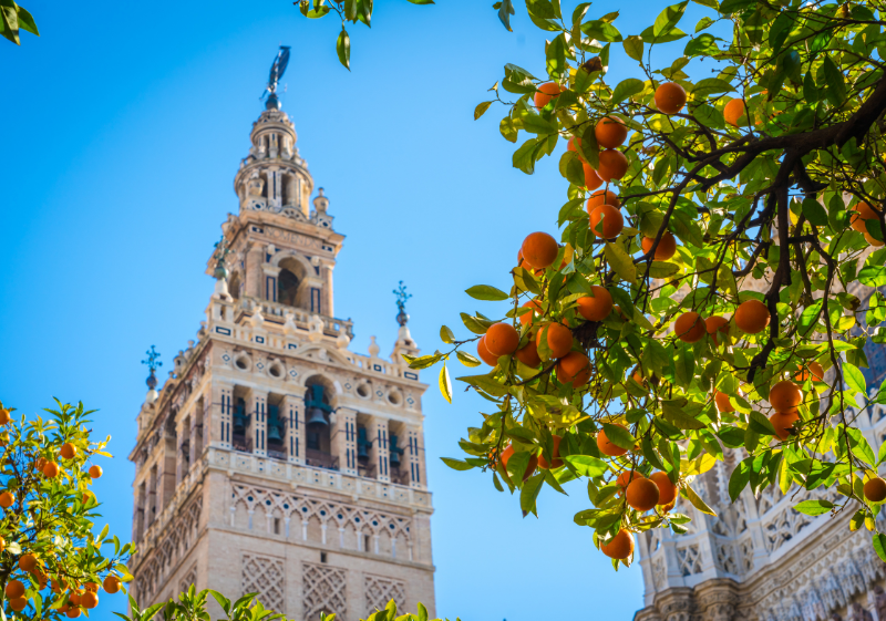 New Chairman of the ECBC Global Issues Working Group announced