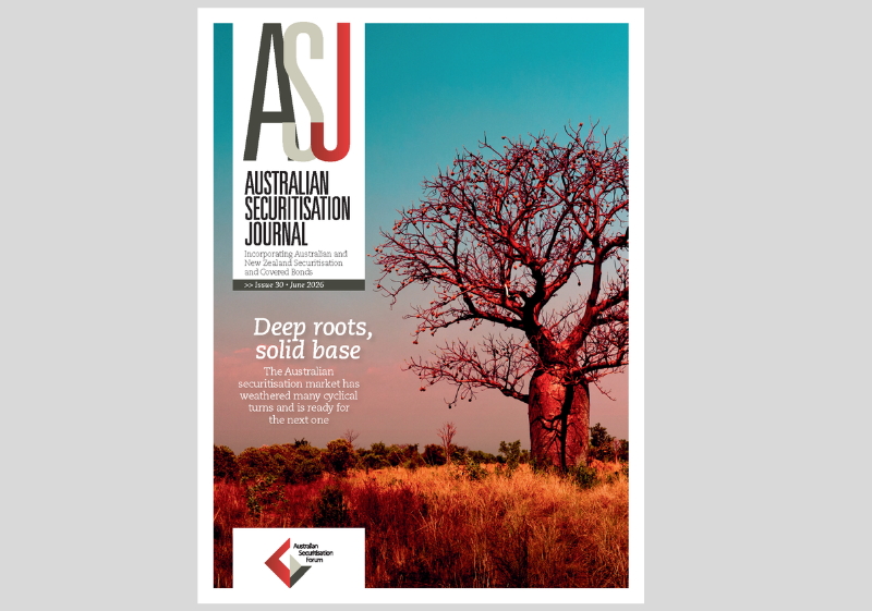 Issue 30 - June 2026