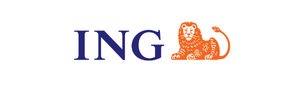 Director / VP - Securitisation