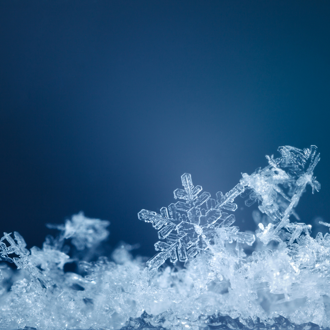 ASF FLYP | Winter Networking Series | Melbourne