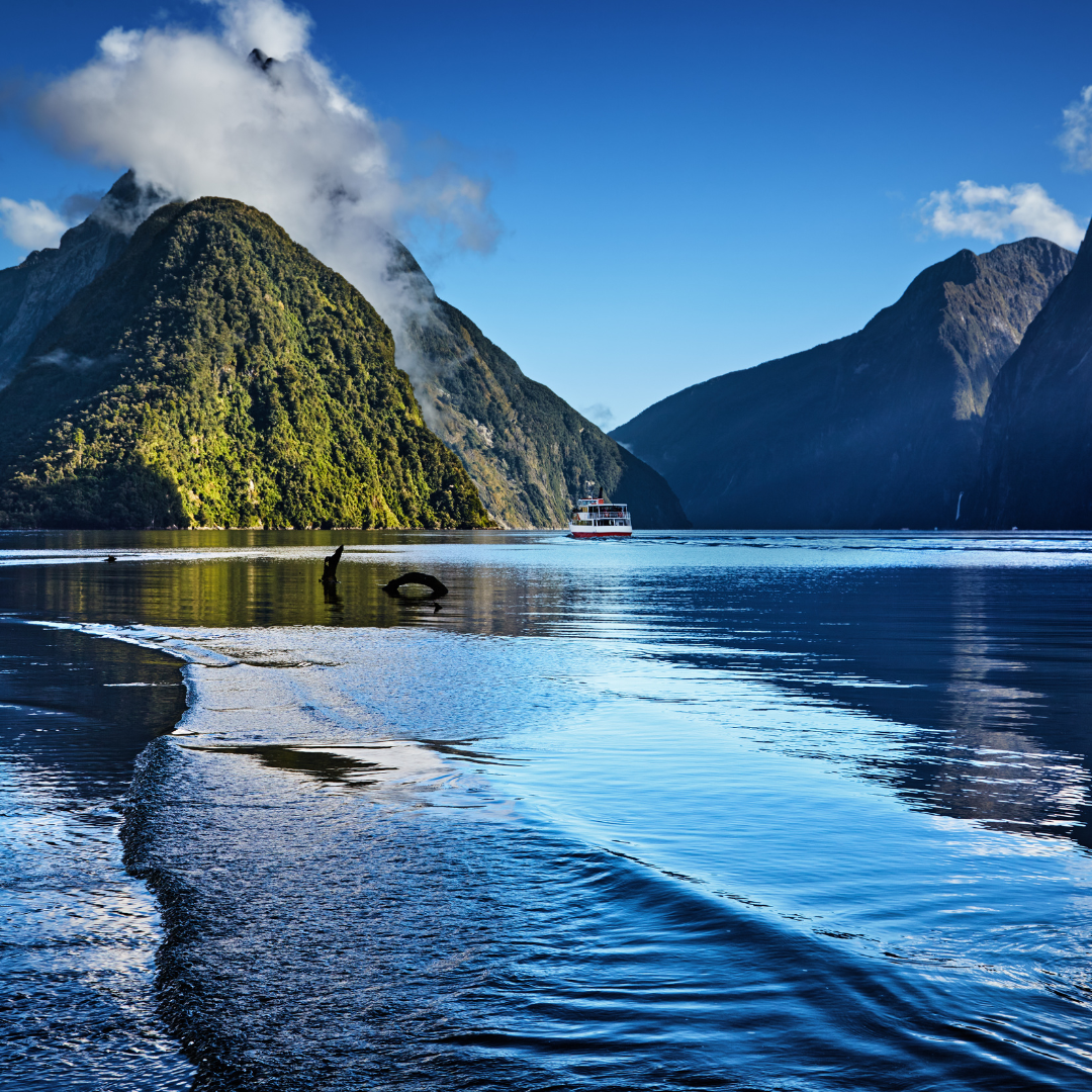 2026 New Zealand Securitisation Conference