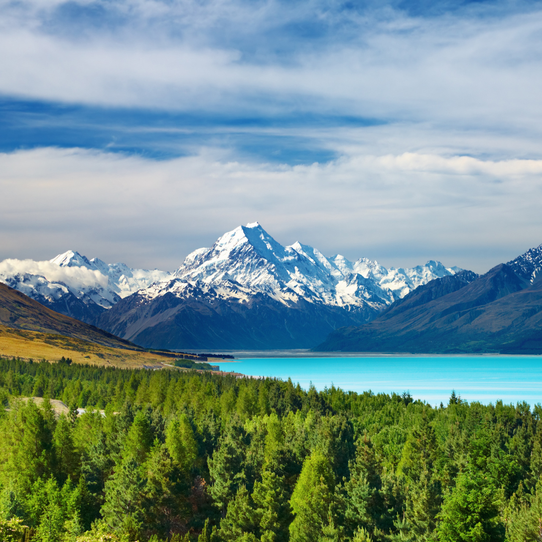 2025 New Zealand Securitisation Conference