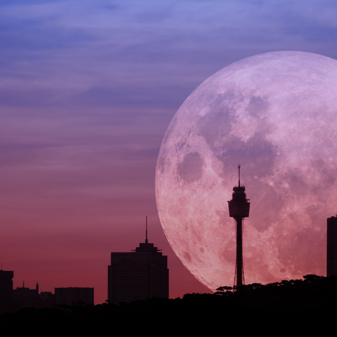 ASF Evening Series | Mid-year market update